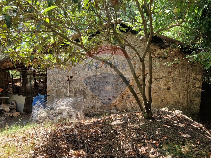 Terreno agricolo in Vendita a Minturno, 60'000€, 6000 m²