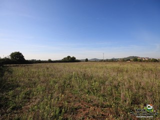 Terreno agricolo in Vendita a Nepi, 69'000&euro;, 20000 m²