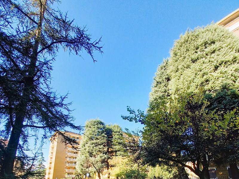 Trilocale in Vendita a Cinisello Balsamo, zona Cinisello Balsamo-Bellaria, 259'000€, 91 m²