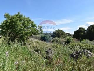 Terreno agricolo in Vendita a Bolognetta, 8'000€, 1509 m²