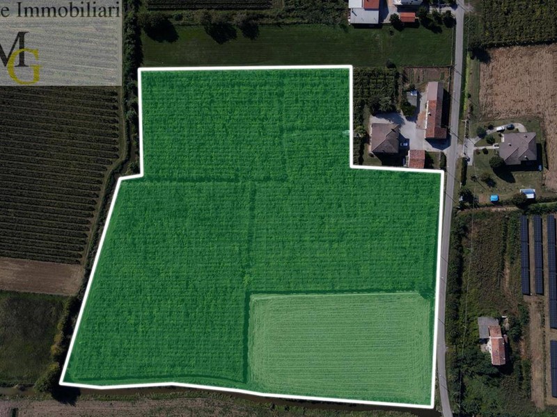 Terreno agricolo in Vendita a Cologna Veneta, 350'000€, 33000 m²