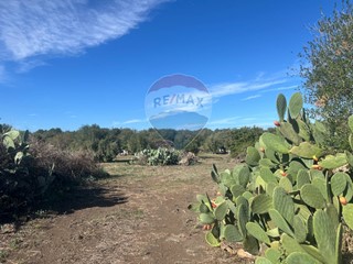 Terreno agricolo in Vendita a Belpasso, 29'000€, 3800 m²