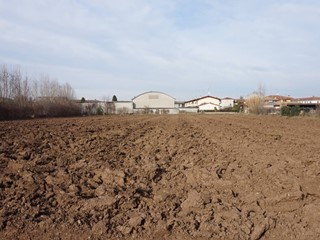 Terreno edificabile in Vendita a Isorella, 250'000&euro;, 5970 m²