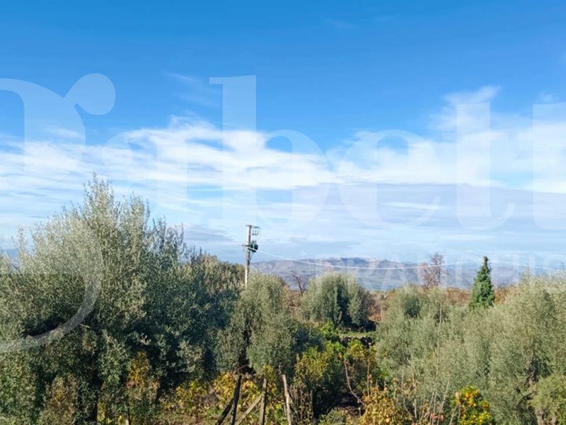 Terreno agricolo in Vendita a Santa Maria di Licodia, 44'000€, 9000 m²