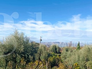 Terreno agricolo in Vendita a Santa Maria di Licodia, 44'000€, 9000 m²