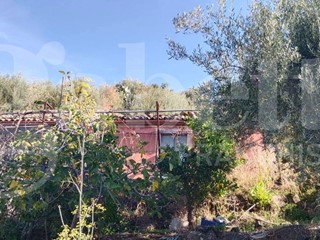 Terreno agricolo in Vendita a Santa Maria di Licodia, 44'000€, 9000 m²