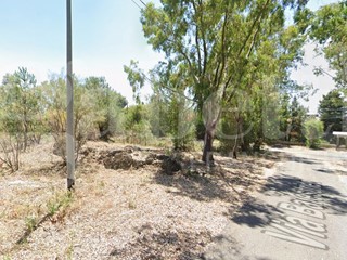 Terreno agricolo in Vendita a Belpasso, 15'000€, 1000 m²