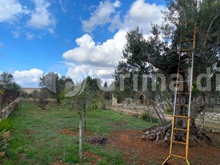 Terreno agricolo in Vendita a Sannicola, 18'000€, 2540 m²