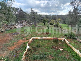 Terreno agricolo in Vendita a Sannicola, 18'000€, 2540 m²