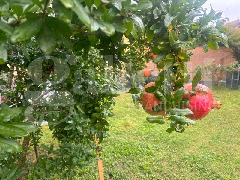 Villa bifamiliare in Vendita a Riolo Terme, 760 m²