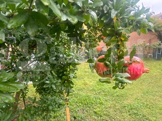 Villa bifamiliare in Vendita a Riolo Terme, 760 m²