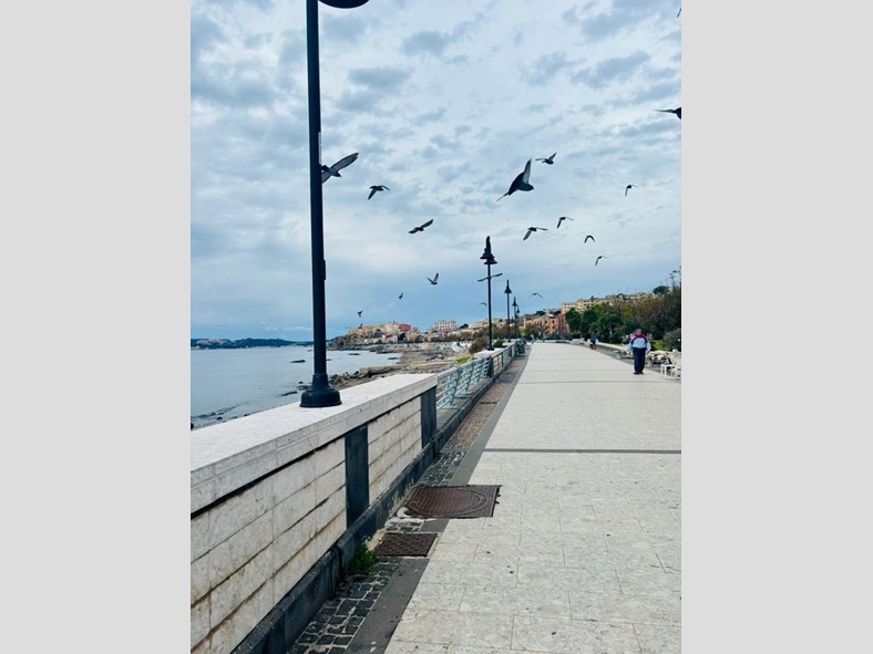 Trilocale in Affitto a Pozzuoli, 980&euro;, 60 m²