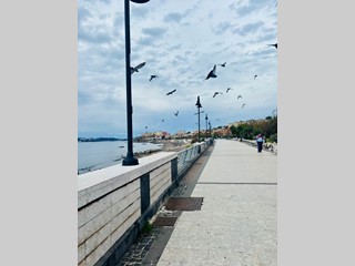 Trilocale in Affitto a Pozzuoli, 980&euro;, 60 m²