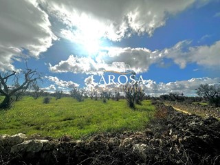 Terreno agricolo in Vendita a Vernole, 25'000€, 10 m²