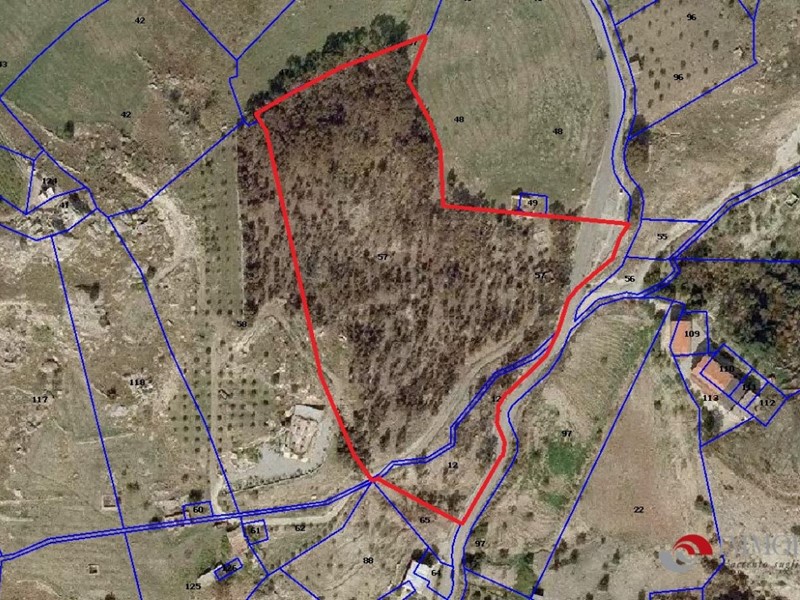 Terreno edificabile in Vendita a Montebello Jonico, 24000 m²