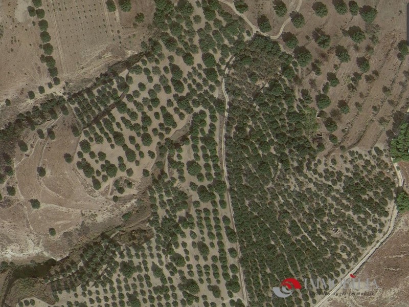 Negozio in Vendita a Melito di Porto Salvo, 550000 m²