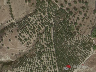 Negozio in Vendita a Melito di Porto Salvo, 550000 m²