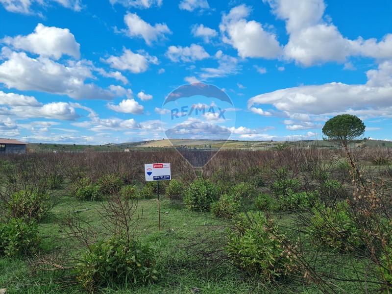Terreno agricolo in Vendita a Lentini, 36'000€, 10000 m²