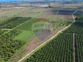 Terreno agricolo in Vendita a Siracusa, 399'000€, 104624 m²