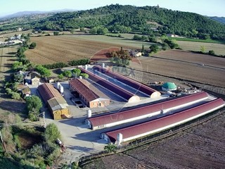 Attività commerciale in Vendita a Magione, 2'300'000&euro;, 140000 m², con Box
