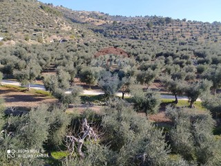 Terreno agricolo in Vendita a Mattinata, 1'000'000&euro;, 106000 m²
