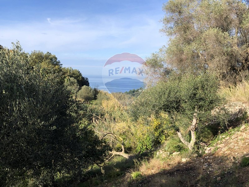 Terreno agricolo in Vendita a Vico del Gargano, 70'000&euro;, 40000 m²