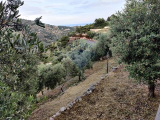 Rustico in Vendita a Mattinata, 49'998&euro;, 117 m²