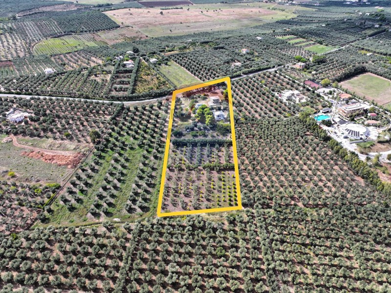 Appartamento in Vendita a Rodi Garganico, 499'000&euro;, 20000 m²