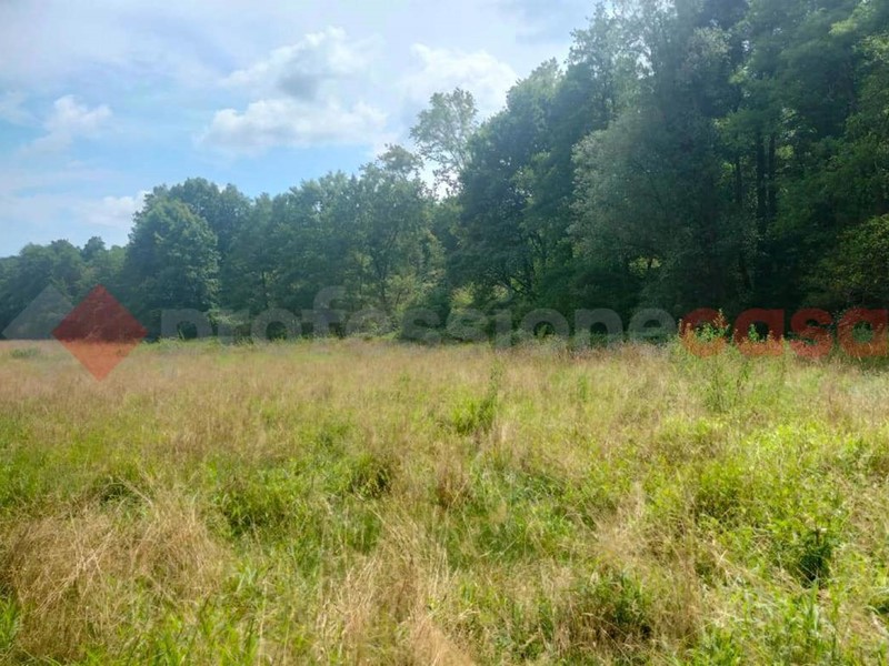 Terreno agricolo in Vendita a Gattico Veruno, 70'000&euro;, 30000 m²