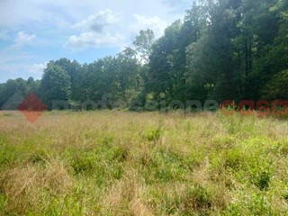 Terreno agricolo in Vendita a Gattico Veruno, 70'000&euro;, 30000 m²