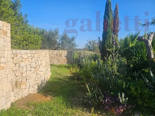 Terreno agricolo in Vendita a Copertino, 23'000&euro;, 3900 m²