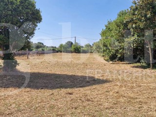 Terreno agricolo in Vendita a Nettuno, 55'000&euro;, 5480 m²