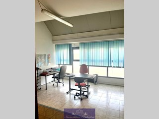 Capannone in Vendita a Campi Bisenzio, zona Capalle, 360'000&euro;, 300 m²