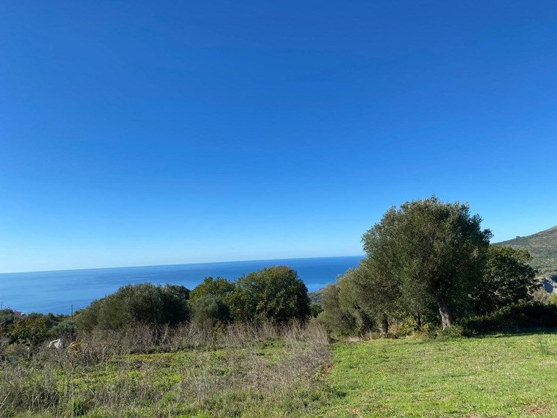 Terreno agricolo in Vendita a Camerota, zona palinuro, 149'000&euro;, 70000 m²