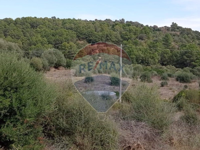 Terreno agricolo in Vendita a Caltagirone, 20'000&euro;, 15500 m²