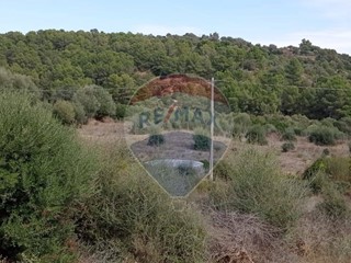Terreno agricolo in Vendita a Caltagirone, 20'000&euro;, 15500 m²