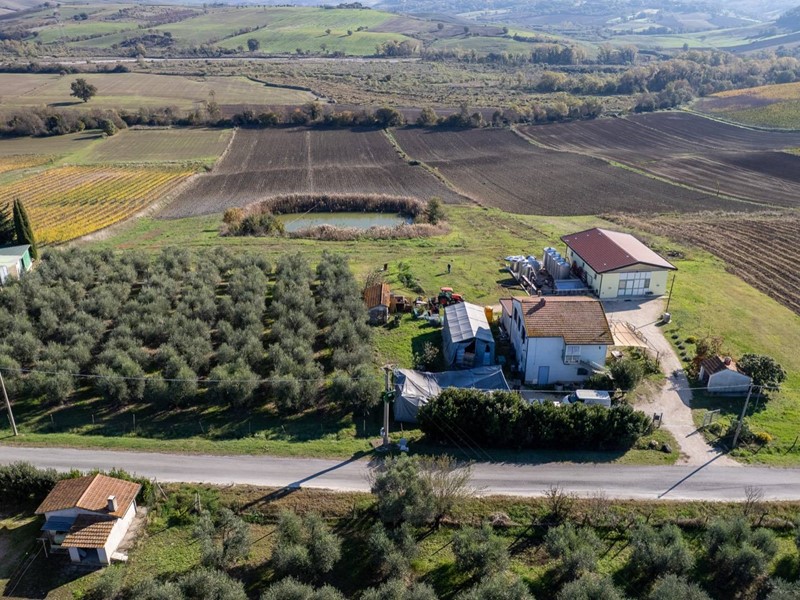 Attività commerciale in Vendita a Scansano, 550'000&euro;, 296 m²