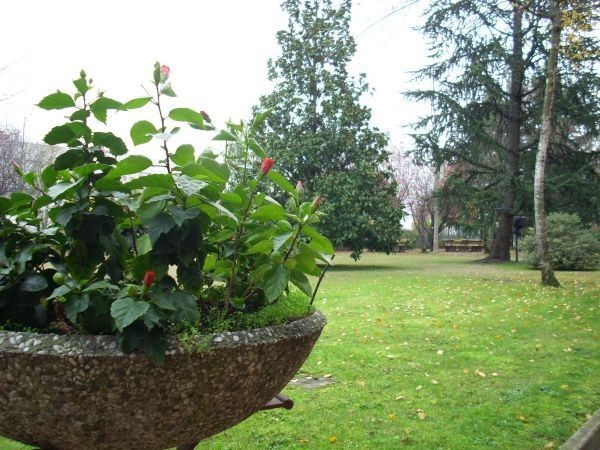 Appartamento in Affitto a Bologna, zona 01.Borgo Panigale, 1'200€, 115 m², arredato, con Box