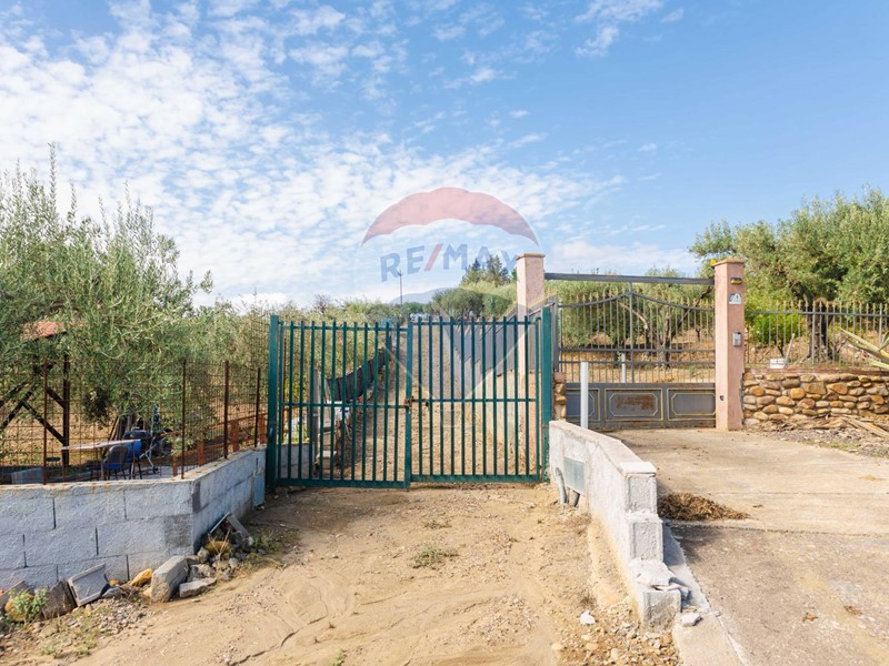 Terreno agricolo in Vendita a Motta Sant'Anastasia, 38'000&euro;, 5000 m²