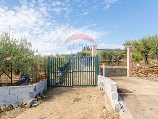 Terreno agricolo in Vendita a Motta Sant'Anastasia, 38'000&euro;, 5000 m²