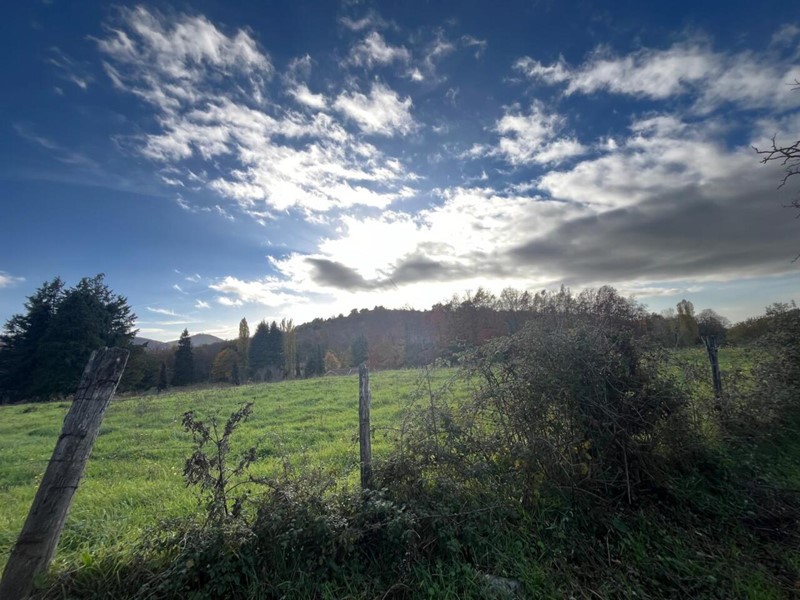 Terreno agricolo in Vendita a Grottaferrata, 95'000&euro;, 15000 m²