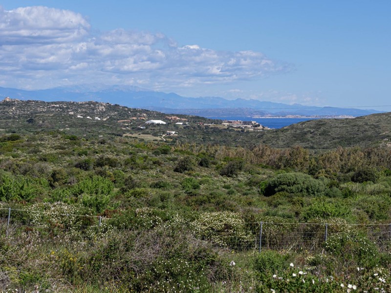 Terreno agricolo in Vendita a Santa Teresa Gallura, 300'000&euro;, 350446 m²