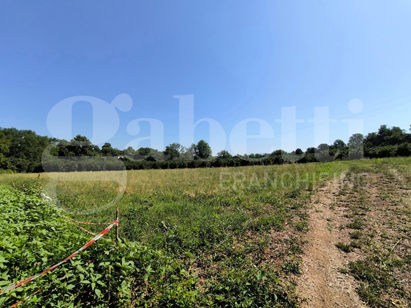 Terreno agricolo in Vendita a Gallese, 32'000&euro;, 16590 m²