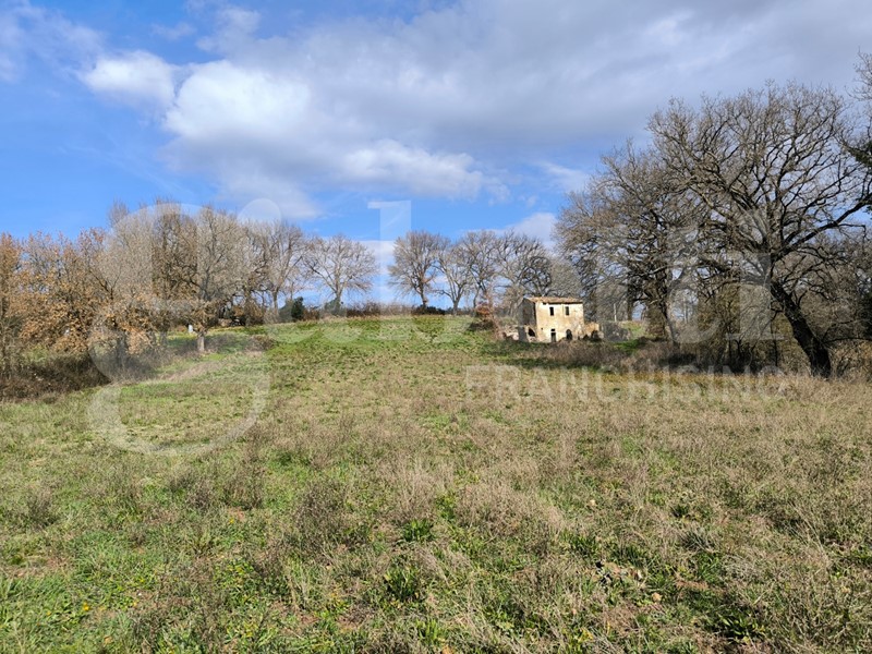 Casale in Vendita a Gallese, 29'000&euro;, 150 m²