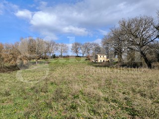 Casale in Vendita a Gallese, 29'000&euro;, 150 m²