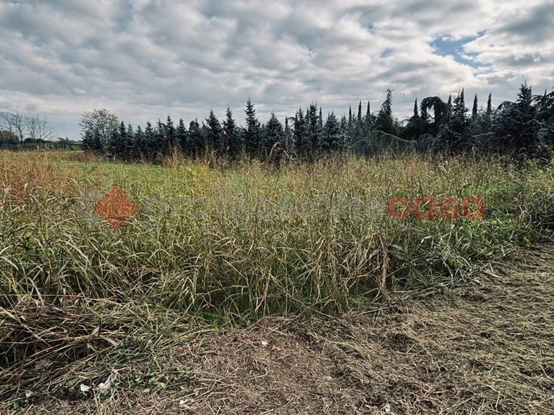 Terreno agricolo in Vendita a Pistoia, 13'000€, 900 m²