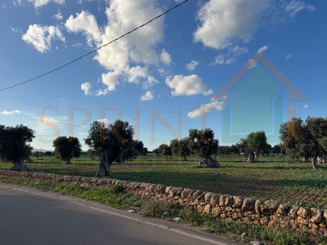 Terreno agricolo in Vendita a Monopoli, 127'000&euro;, 16467 m²