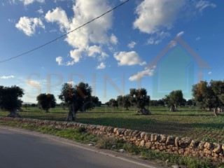 Terreno agricolo in Vendita a Monopoli, 127'000&euro;, 16467 m²