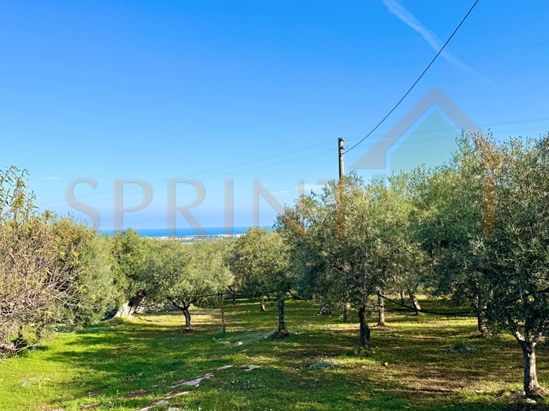 Terreno agricolo in Vendita a Monopoli, 78'000&euro;, 11470 m²