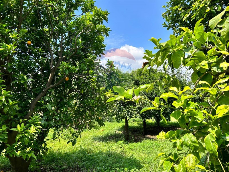 Terreno agricolo in Vendita a Aci Sant'Antonio, 40'000€, 1000 m²